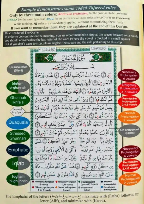 tajweed quran with english translation transliteration random color