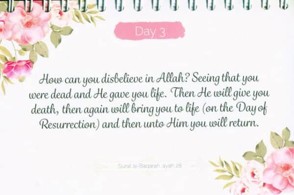 365 quran reminders pink 3