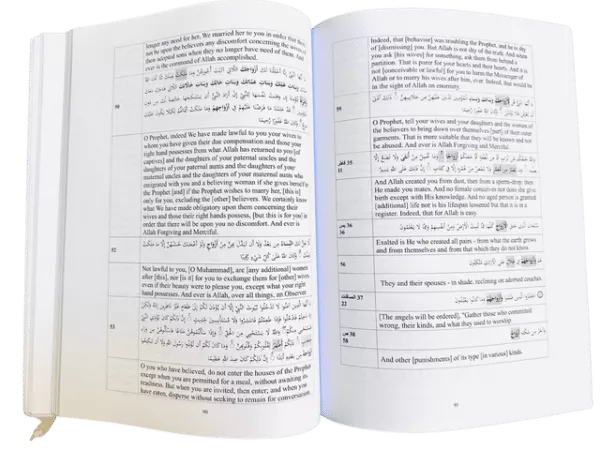 family members in holy quran verses english translation