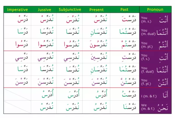 gateway to arabic verb conjugation flashcards set two