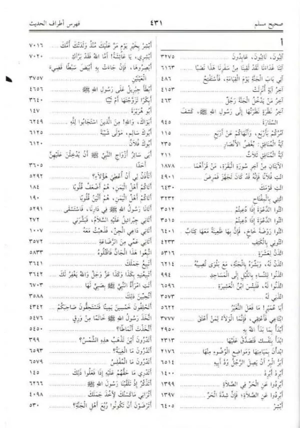 menna al moneim in the explanation of sahih muslim 4 volumes منة المنعم في شرح صحيح مسلم 2