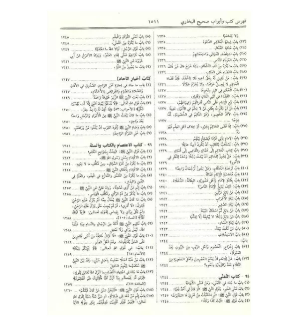 sahih al bukhari large arabic 2