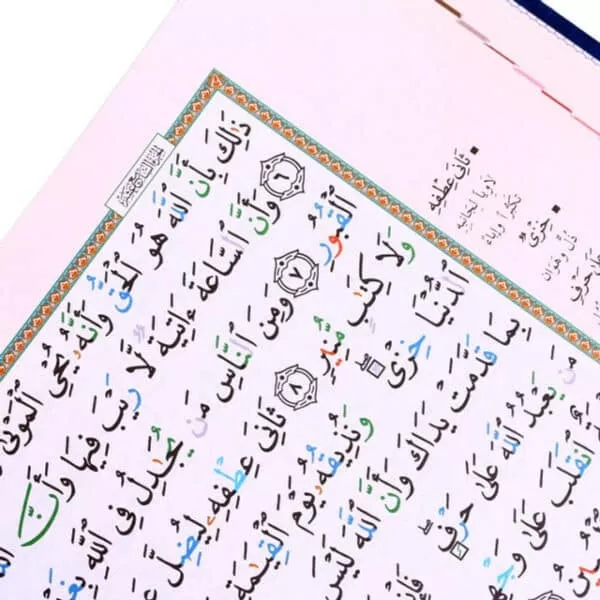 tajweed qur an colour coded arabic only large a3 size