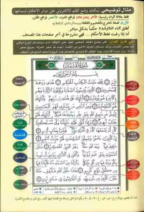 tajweed quran colour coded arabic only small 2