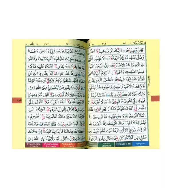 tajweed quran colour codedpakistani indian persian script 13x17 2