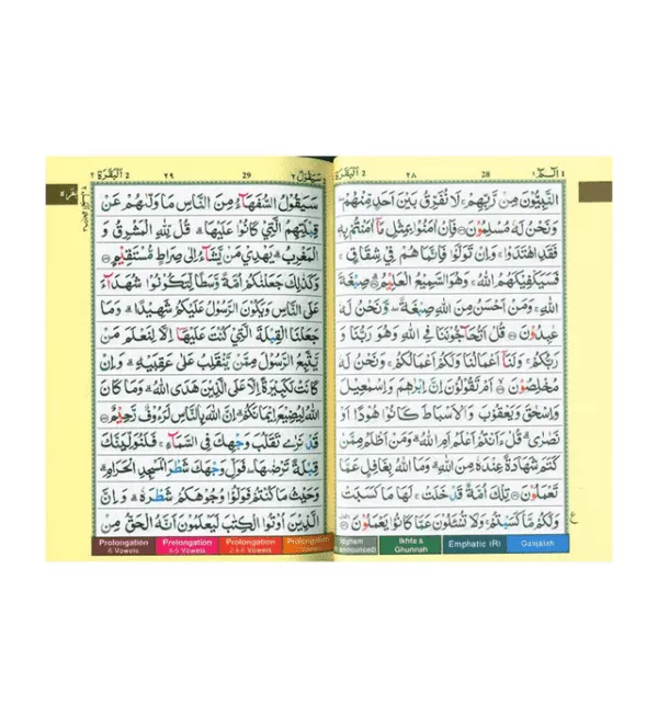 tajweed quran colour codedpakistani indian persian script