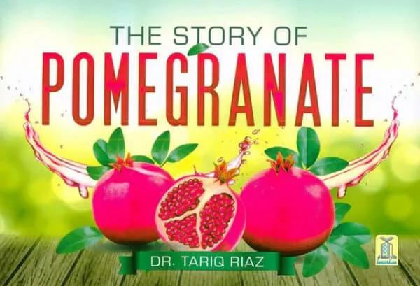 the story of pomegranate 4